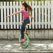 TheLAShop 20 inch Wheel Unicycle Multiple Color Image