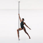 TheLAShop 10.8 ft Pole Spinning Dance Pole for Home Removable 45mm Image