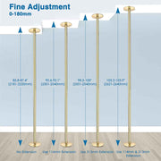 TheLAShop 9ft Brass Pole Spinning & Static Dancing Pole Golden Image