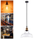 TheLAShop 11" Clear Glass Pendant Light Industrial Copper Hanging Lamp Image