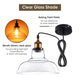 TheLAShop 11" Clear Glass Pendant Light Industrial Copper Hanging Lamp Image