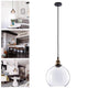 TheLAShop Clear Globe Glass Ball Pendant Light Ceiling Lamp 9 4/5" Image