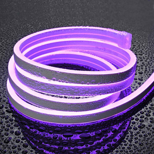 TheLAShop 50ft Neon Rope Light Outdoor Waterproof Remote Control Purple