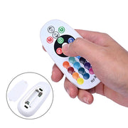 TheLAShop LED Neon Light RF Remote & Controller AC110V Image