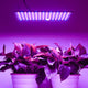 TheLAShop 225 Ultrathin Blue Red Lamp LED Plant Grow Light Panel Image