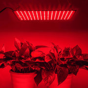 TheLAShop 225 Ultrathin Blue Red Lamp LED Plant Grow Light Panel, Red Image