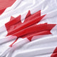 TheLAShop Canada Flag Canadian Maple Leaf For Flagpole Image