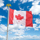 TheLAShop Canada Flag Canadian Maple Leaf For Flagpole Image