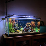 TheLAShop 24 inch Aquarium Light RGB APP & Panel Control Saltwater Freshwater Image