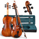 TheLAShop BV200A 4/4 Full Size Maple Wood Student Violin with Bow Case Image