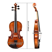 TheLAShop BV200A 4/4 Full Size Maple Wood Student Violin with Bow Case Image