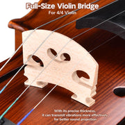 TheLAShop Violin Bridge & Strings with Ball-End (GDAE) Image