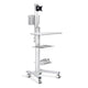 TheLAShop PC Mobile Cart Rolling Computer Workstation Stand, Silver Image