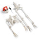 TheLAShop 5.4ft Posable Pirate Skeleton Outdoor Yard Decor Image