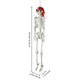 TheLAShop 5.4ft Posable Pirate Skeleton Outdoor Yard Decor Image