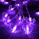 TheLAShop Halloween Fairy Light Purple Bat Lights Battery Operated 15ft Image