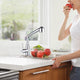 TheLAShop Kitchen Faucet with Sprayer Pull-out Stainless Steel 13" Image