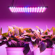 TheLAShop 225 Ultrathin Blue Red Orange White LED Plant Grow Light Panel Image