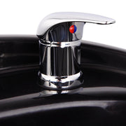 TheLAShop Shampoo Basin Bowl Sink w/ Sprayer Faucet Neck Rest Hair Trap Image