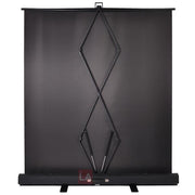 TheLAShop Floor Stand Pull Up Portable Projector Screen 60" 4:3 Image