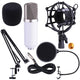 TheLAShop Condenser Microphone Kit w/ Arm Stand Shock Mount Pop Filter Image