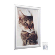 TheLAShop 10"x13" A4 Poster Size Snap Frame 1" Profile Picture Display Image