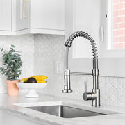 TheLAShop Pull-down Kitchen Faucet Single Handle Brushed Nickel Image